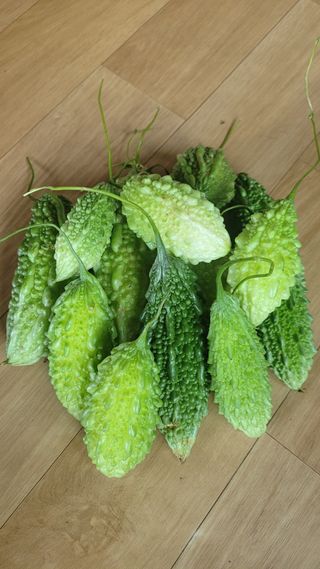 강화댁님의 고추 · 일상 작성글 사진