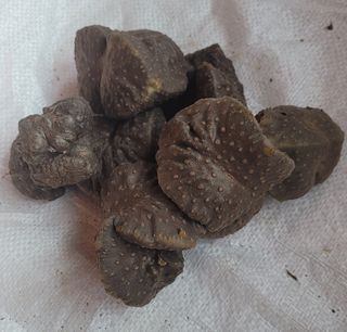 강화댁님의 고추 · 일상 작성글 사진