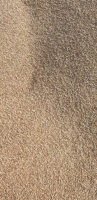 이종혁님의 들깨 · 자유게시판 작성글 사진