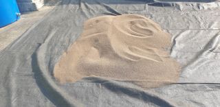 이종혁님의 들깨 · 자유게시판 작성글 사진