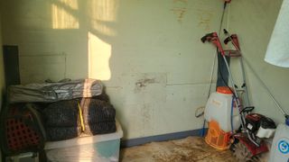 카리마님의 기타작물 · 자유게시판 작성글 사진