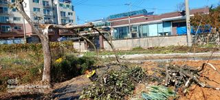 농부하니님의 사과 · 일상 작성글 사진