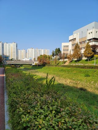 신승재님의 양파 · 자유게시판 작성글 사진