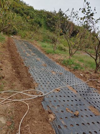 블루아이스님의 콩 · 자유게시판 작성글 사진