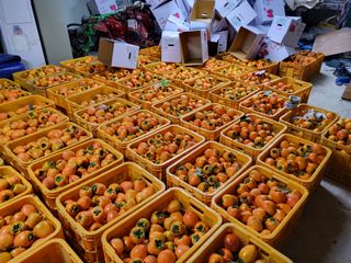 우설강(희택)님의 작성글 사진