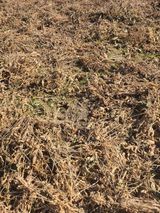 팜모닝 콩·자유게시판 게시글 이미지