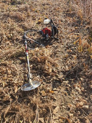 권철환님의 콩 · 자유게시판 작성글 사진