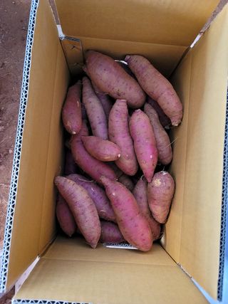 조성인님의 작성글 사진