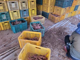 조성인님의 작성글 사진