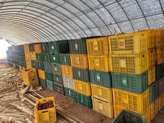 조성인님의 작성글 사진