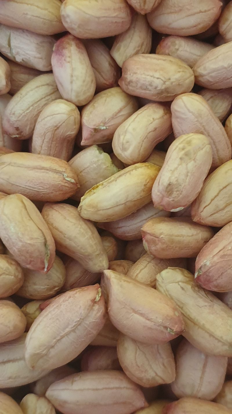 장터 상품 [땅콩 1키로 ₩10,000원 / ₩15,000원] 썸네일