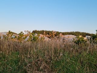 탱이야님의 기타작물 · 자유게시판 작성글 사진