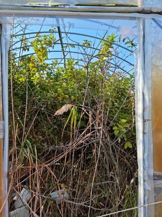 탱이야님의 기타작물 · 자유게시판 작성글 사진