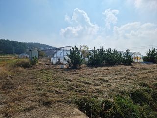 탱이야님의 기타작물 · 자유게시판 작성글 사진