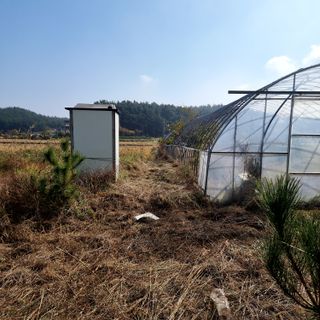 탱이야님의 기타작물 · 자유게시판 작성글 사진