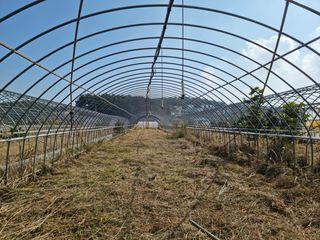 탱이야님의 기타작물 · 자유게시판 작성글 사진