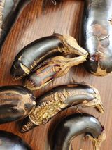 팜모닝 기타작물·병해충상담 게시글 이미지