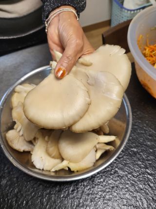 김철용님의 상추 · 자유게시판 작성글 사진