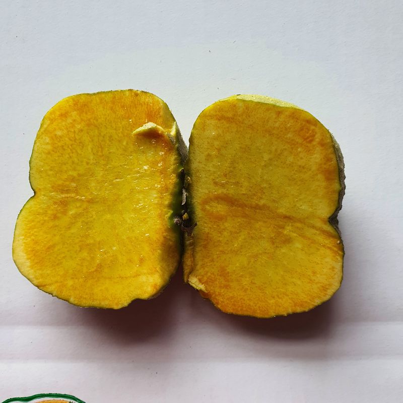숙이네농장 님의 장터 판매 상품 [ 차요태] 첨부 사진