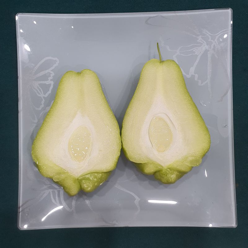 숙이네농장 님의 장터 판매 상품 [ 차요태] 첨부 사진