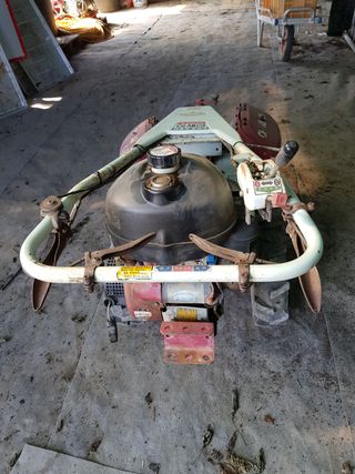 암초님의 매실 · 자유게시판 작성글 사진