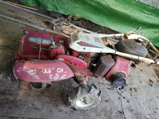 암초님의 매실 · 자유게시판 작성글 사진