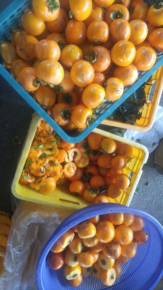 오색땅콩님의 작성글 사진