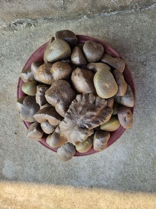 이택신님의 배 · 일상 작성글 사진