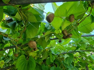 이택신님의 배 · 일상 작성글 사진