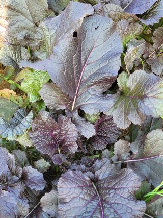 신승재님의 기타작물 · 자유게시판 작성글 사진