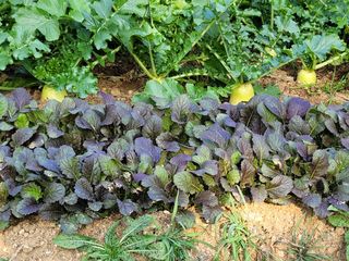 신승재님의 기타작물 · 자유게시판 작성글 사진