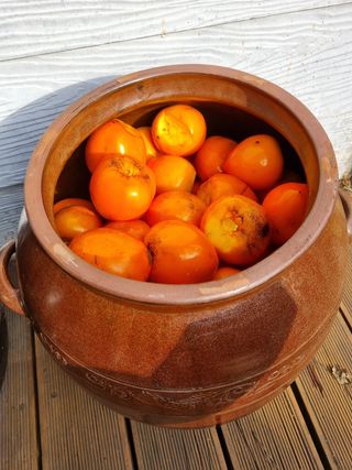 정금석님의 감 · 자유게시판 작성글 사진