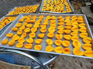 정금석님의 감 · 자유게시판 작성글 사진