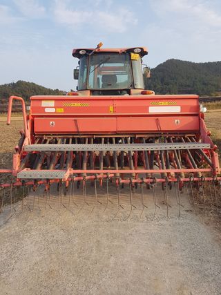 국가대표님의 고추 · 일상 작성글 사진