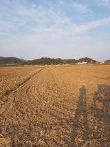 팜모닝 고추·일상 게시글 이미지