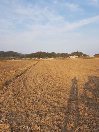 국가대표님의 고추 · 일상 작성글 사진