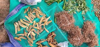 김옥기 님의 딸기 · 일상 작성글 사진