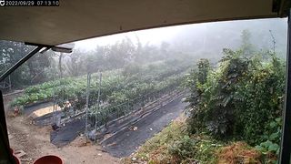 복권님의 귤 · 일상 작성글 사진