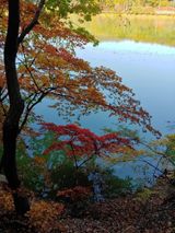 팜모닝 배추·일상 게시글 이미지