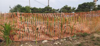 오상사님의 귤 · 일상 작성글 사진