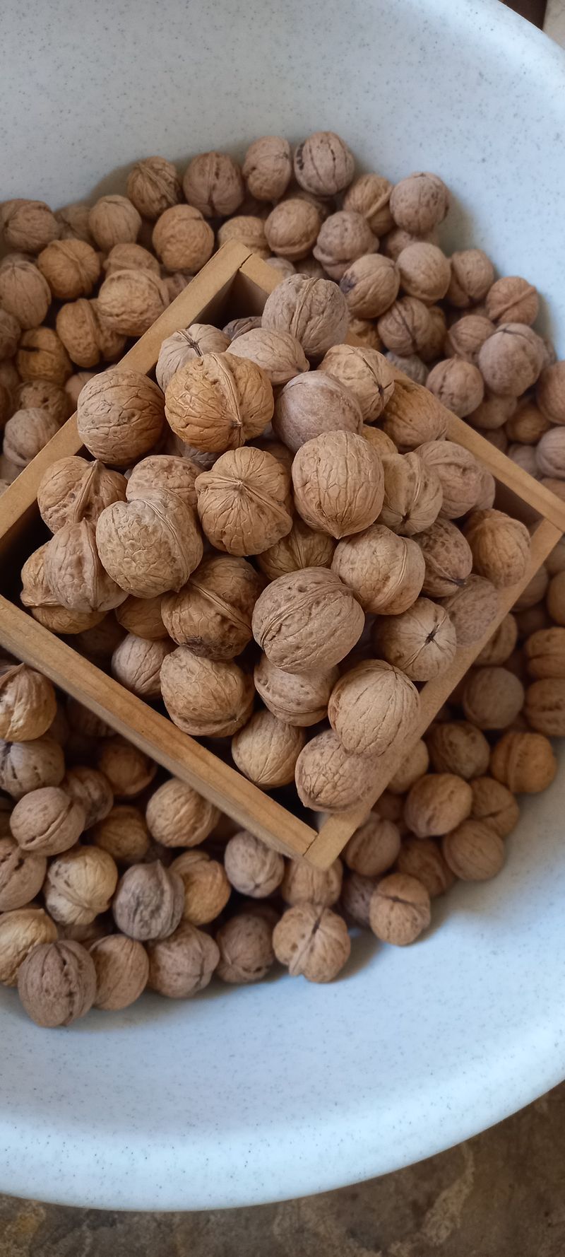 장만월님의 장터 판매 상품 [국산토종호두(판매완료에요) 1되에 8천원] 첨부 사진