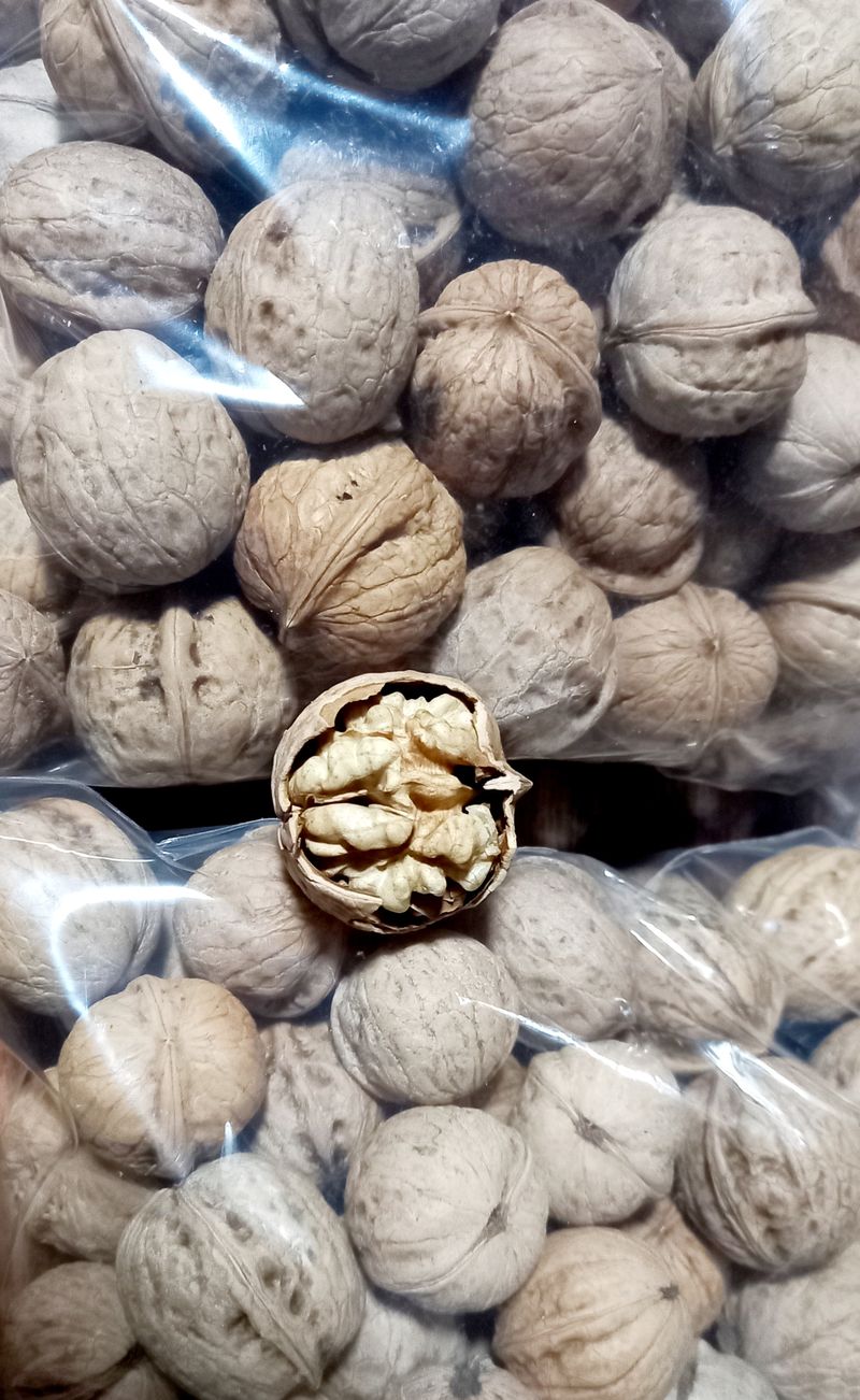 장만월님의 장터 판매 상품 [국산토종호두(판매완료에요) 1되에 8천원] 첨부 사진