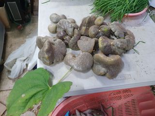 김권수님의 기타작물 · 자유게시판 작성글 사진