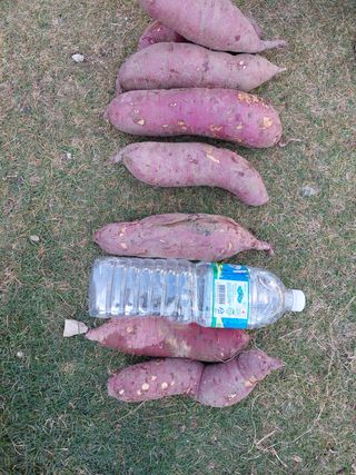 최동환님의 작성글 사진