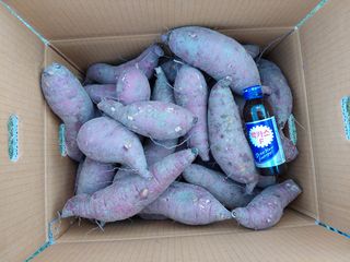 최동환님의 작성글 사진