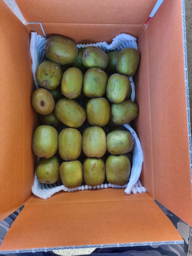 이승철님의 장터 판매 상품 [레드키위 3kg(24과수내외)37,000] 첨부 사진