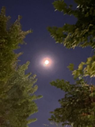 정민지님의 옥수수 · 자유게시판 작성글 사진