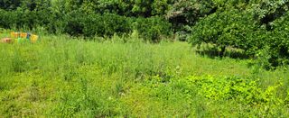 문도연님의 작성글 사진