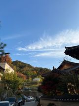 팜모닝 딸기·일상 게시글 이미지