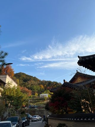 홍키통키님의 딸기 · 일상 작성글 사진